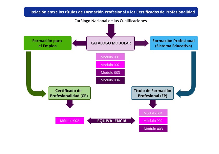 Qué Son Los Certificados De Profesionalidad - Gobierno Vasco - Euskadi.eus